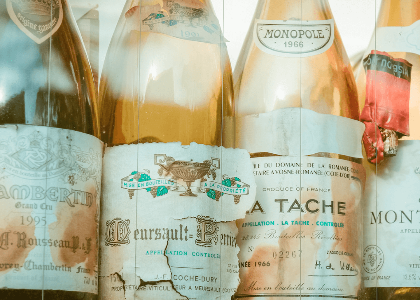 Aged Wine How to Age Wine and What Makes Wine AgeWorthy